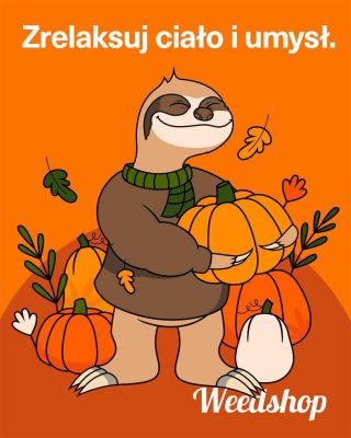 🍂 Jesienny chill już tu, a razem z nim wielka wyprzedaż! 😌 Wszystko zwalnia, powietrze pachnie spokojem, a ty możesz...