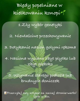 🌱 Uprawa ko🍀opi CBD ma swoje trudności. Unikaj najczęstszych błędów i zapewnij roślinom najlepszy start. 👉 Cały artykuł...