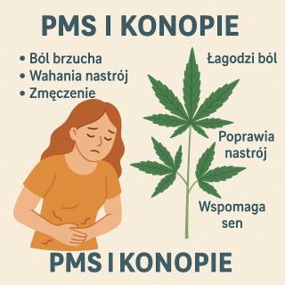 🌿 Ko*opie i PMS – Naturalna Ulga z Natury Ból, drażliwość, bezsenność… PMS może sprawić, że Twoje dni będą naprawdę...