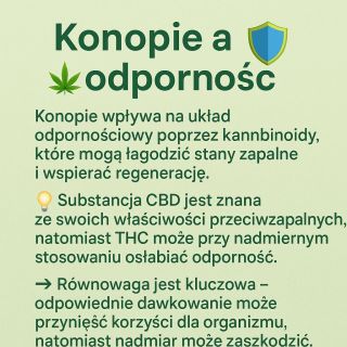 💚 Kon*pie i odporność – równowaga to podstawa! CBD może pomóc organizmowi w regeneracji i walce ze stanami zapalnymi, ale...