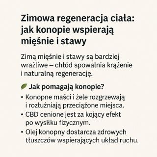 Zimą nasza energia często spada – krótsze dni, mniej słońca i chłód spowalniają naturalny rytm organizmu 🌨️❄️. CBD może...